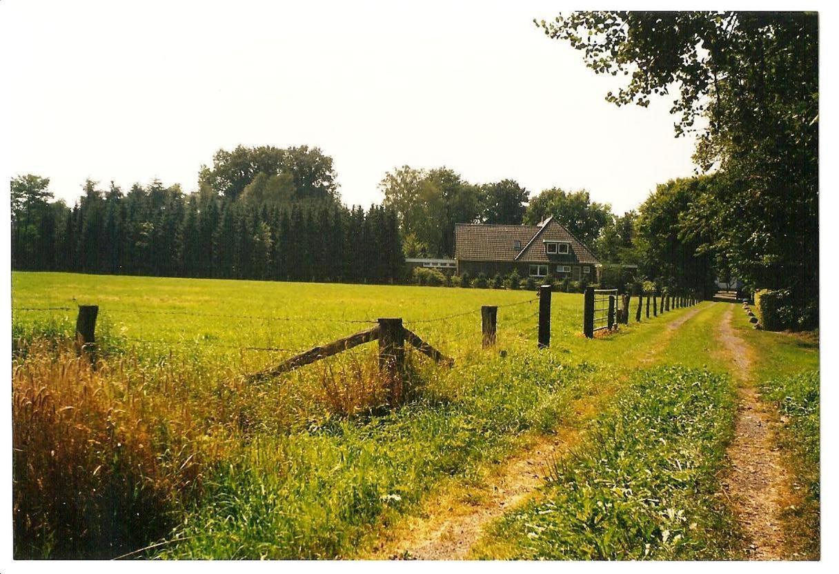 Gaestehaus Hankhausen 라스테데 외부 사진